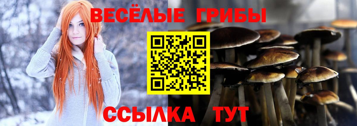 Псилоцибиновые грибы ЛСД Ангарск